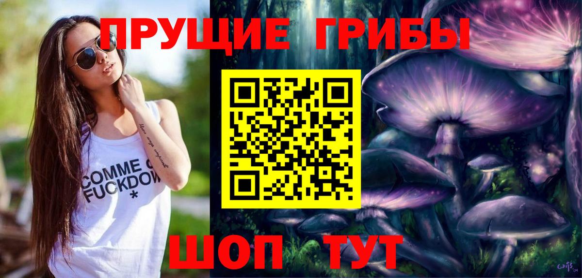 Дмитров  Псилоцибиновые грибы ЛСД  Вход с VPN  Псилоцибиновые грибы ЛСД 