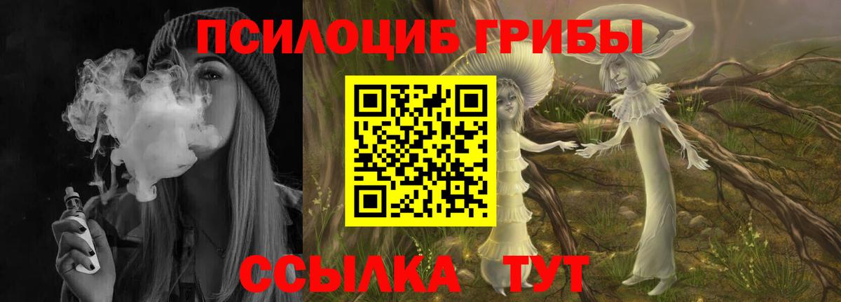 Псилоцибиновые грибы мицелий Дмитров